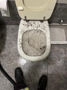 wc intasato como